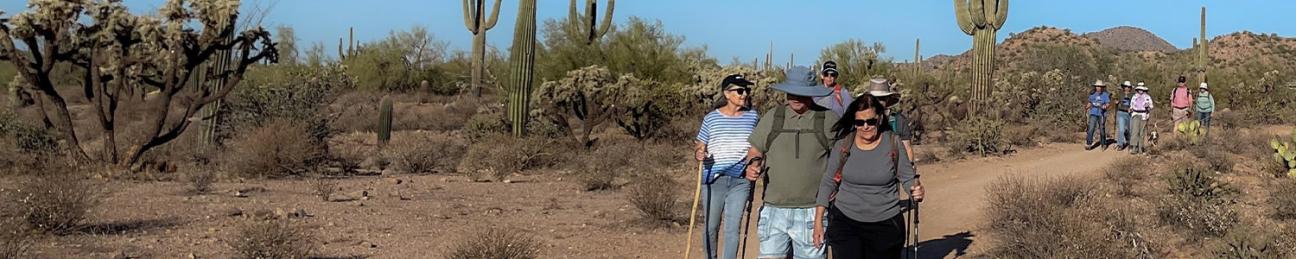 NFLL members on a hike