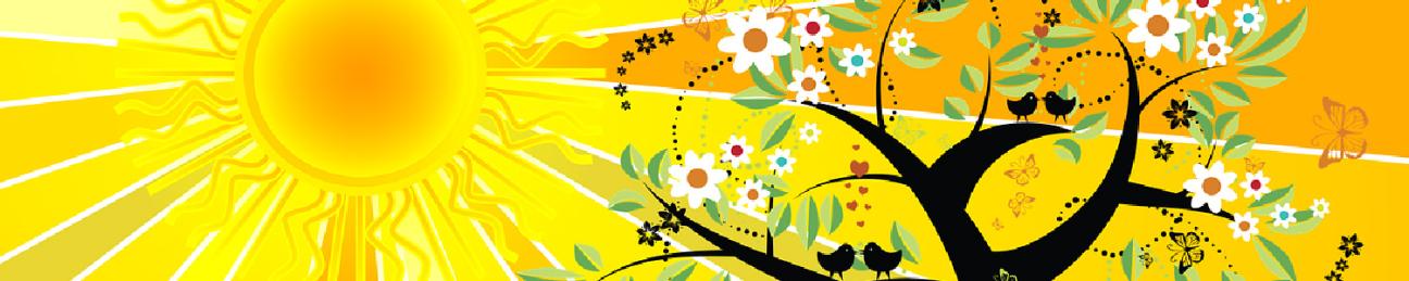 Sun and tree in springtime