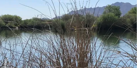 AZ desert pond with mountains in background